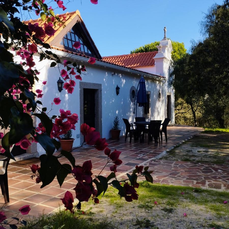 Bed and Breakfast Quinta Da Galeana Dreaming Лорінян Екстер'єр фото